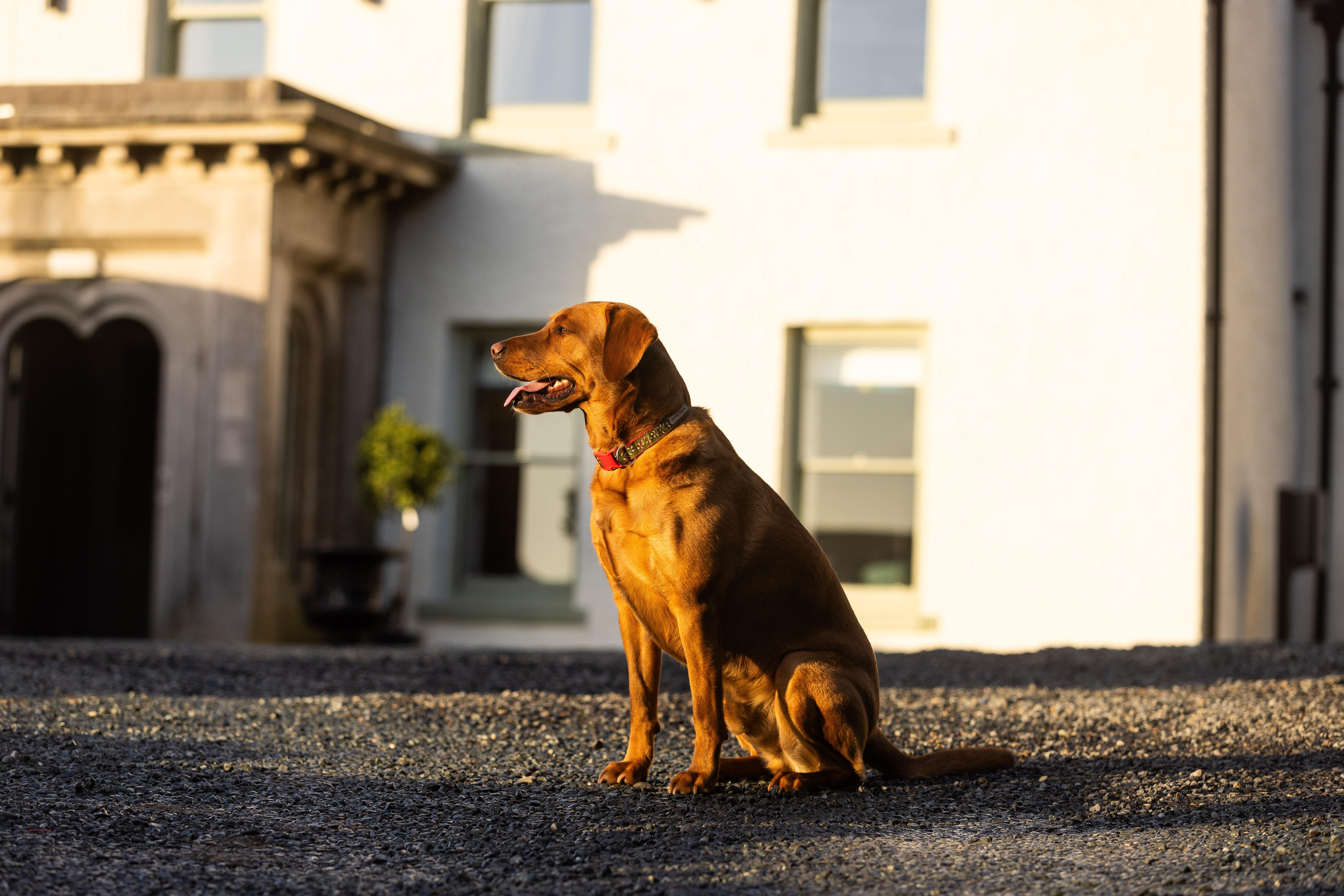 Bed and Breakfast Aynsome Manor Cartmel Exterior foto